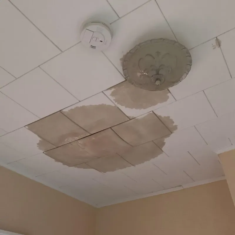 Ceiling Water Damage Repair in Newellton, LA