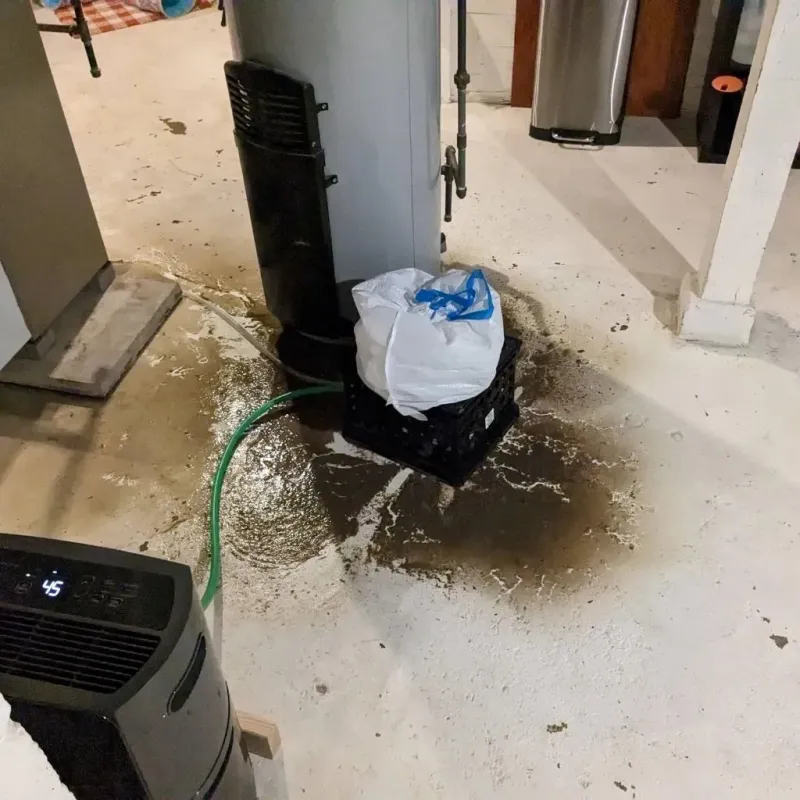 Sewage Backup Cleanup Service in Newellton, LA